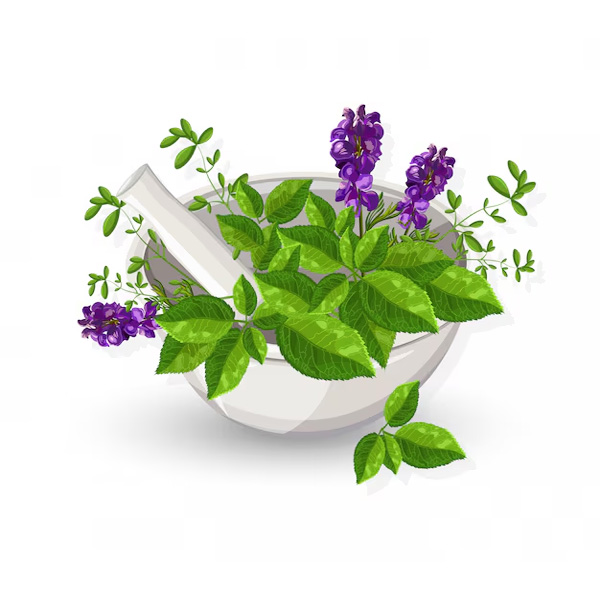Herbal Powder